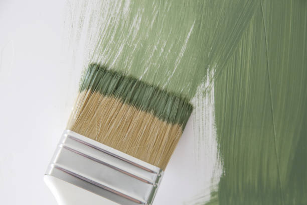 Reliable Raynham Center, MA Mold Removal Solutions
