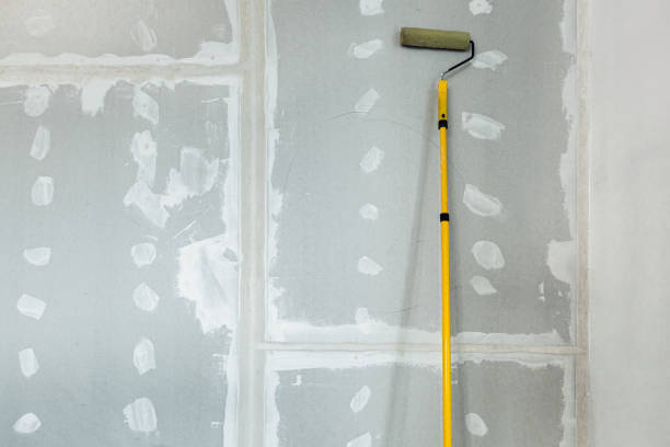 Best Real Estate Mold Inspection  in Raynham Center, MA