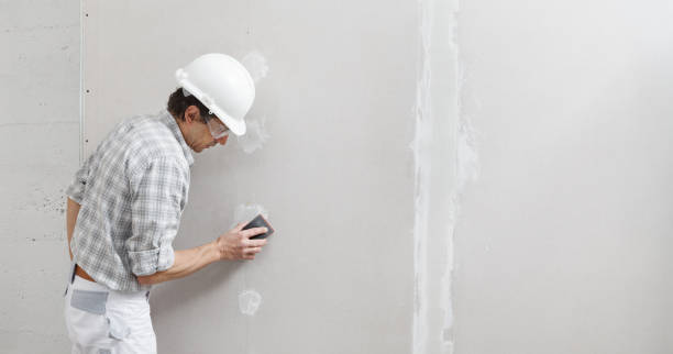 Best Mold Damage Restoration  in Raynham Center, MA