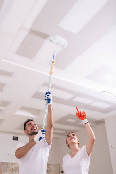 Best Water Damage & Mold Remediation  in Raynham Center, MA