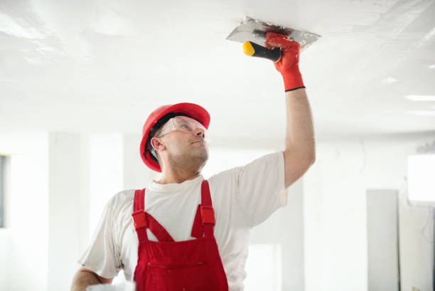 Best Biohazard Mold Removal  in Raynham Center, MA