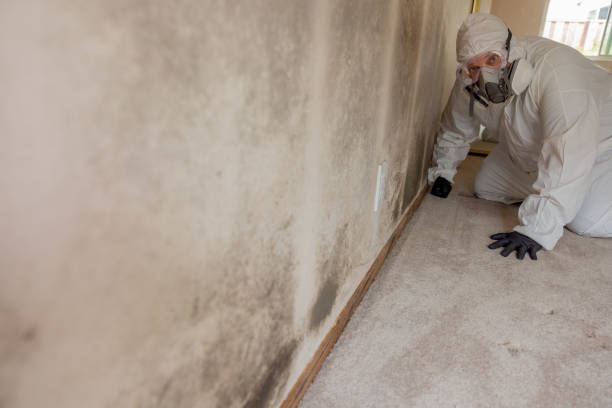 Best HVAC Mold Inspection and Cleaning  in Raynham Center, MA