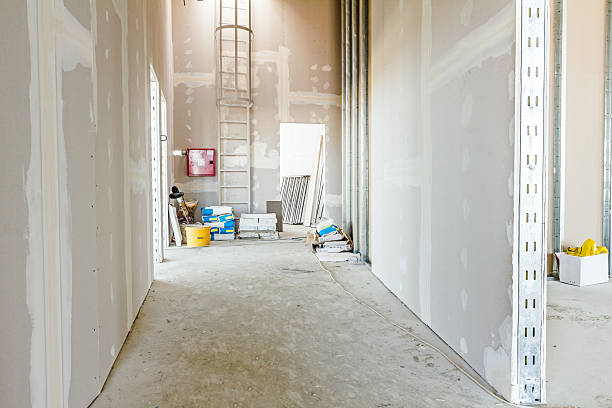 Best Attic Mold Removal  in Raynham Center, MA