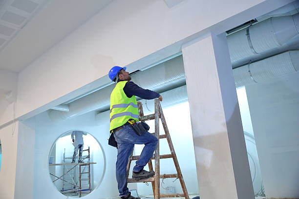 Best Airborne Mold Testing  in Raynham Center, MA